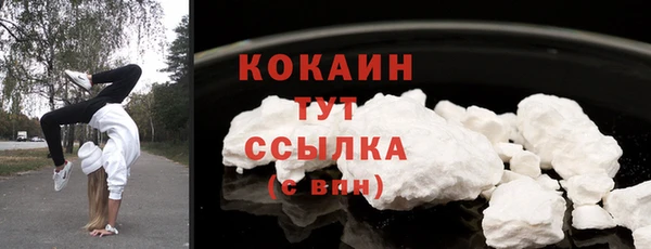 соль ск Богородицк