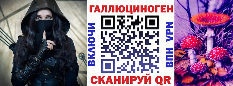 Псилоцибиновые грибы Psilocybine cubensis  Дагестанские Огни 