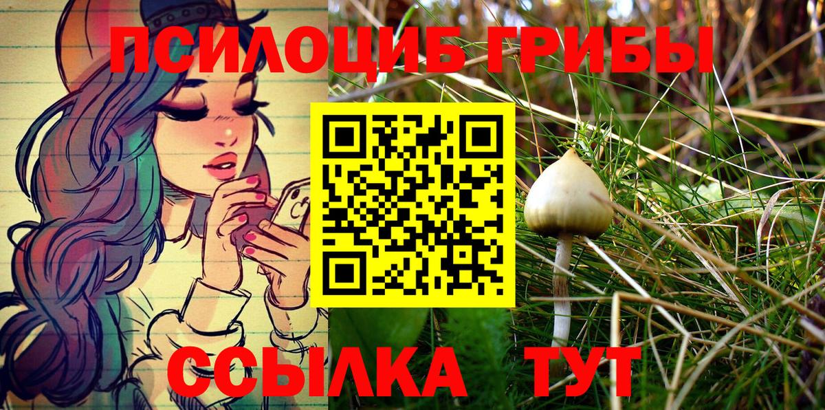 Псилоцибиновые грибы Psilocybe Дагестанские Огни