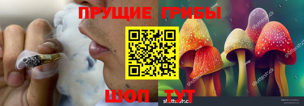 Дагестанские Огни  Галлюциногенные грибы MAGIC MUSHROOMS  хочу   Вход с VPN 